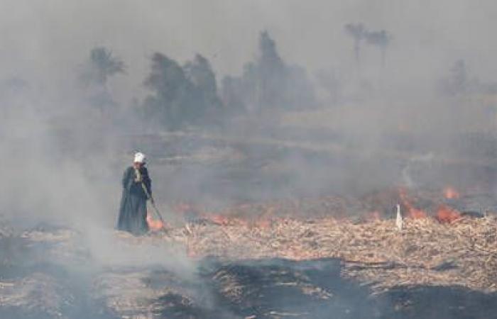 أخبار العالم : مصر.. حريق مروع في الأقصر يؤدي إلى احتراق 11 منزلا