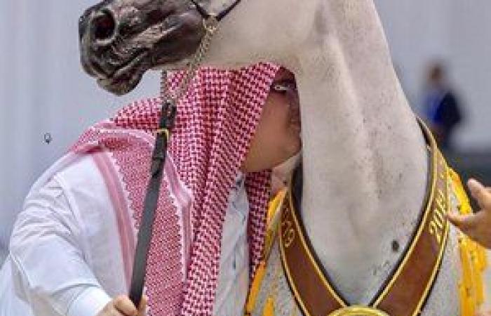 أخبار العالم : مربط "أكمل" يُتوَّج بكأس العالم لجمال الخيل العربية الأصيلة بباريس