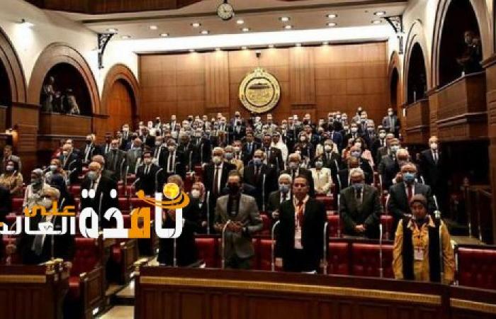 قرار جمهورى بتعيين الدكتورة إيناس عصمت عضواً بمجلس الشيوخ