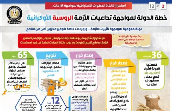 بالإنفوجراف...خطة الدولة لمواجهة تداعيات الأزمة الروسية الأوكرانية