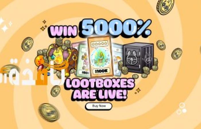 Top Presale Big Eyes تطلق صناديق Loot! أنفق 100 دولار واحصل على فرصة لتحقيق عائد 5000٪!