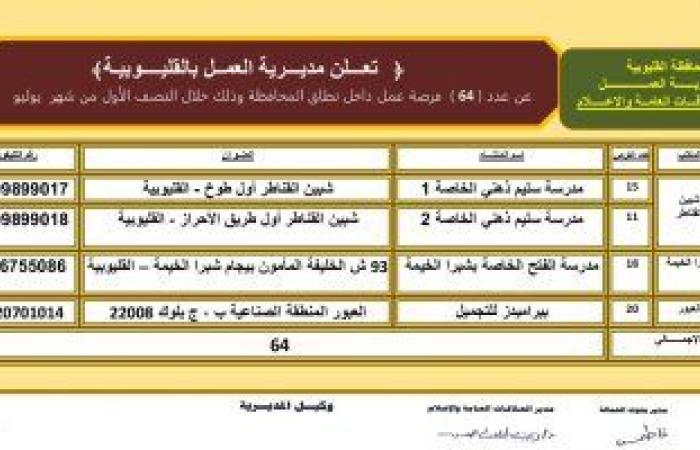 محافظات : مديرية العمل بالقليوبية توفر 64 فرصة عمل فى 4 شركات.. تعرف عليها