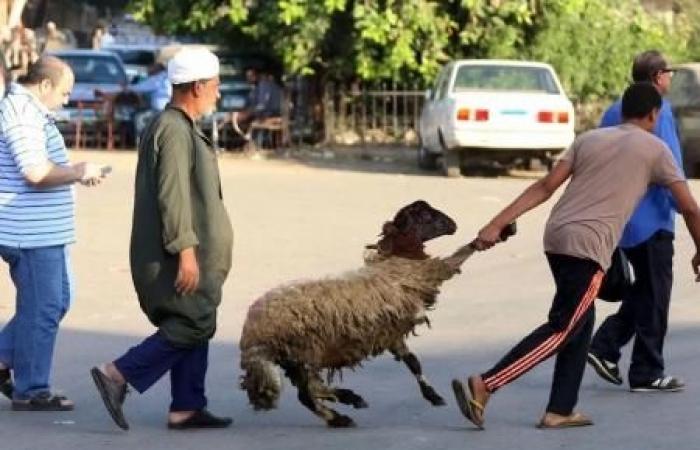 أخبار العالم : رسميًا | الإفتاء تعلن موعد عيد الأضحى في مصر