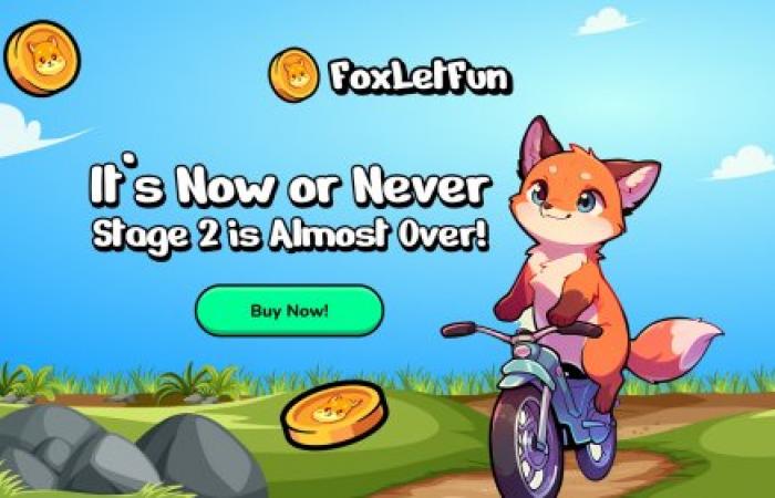 مع اقتراب سعر البيتكوين من 70 ألف دولار وارتفاع سعر الريبل بنسبة 10%، تقدم FoxLetFun فرصة جديدة لعملة الميم لعام 2025