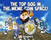 _The Standout Doge في Dogecoin و Shiba Inu's Meme Coin World