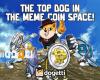 كيف تخطط عائلة Dogetti للتغلب على Dogecoin و Shiba كأكثر عملات Meme شهرة