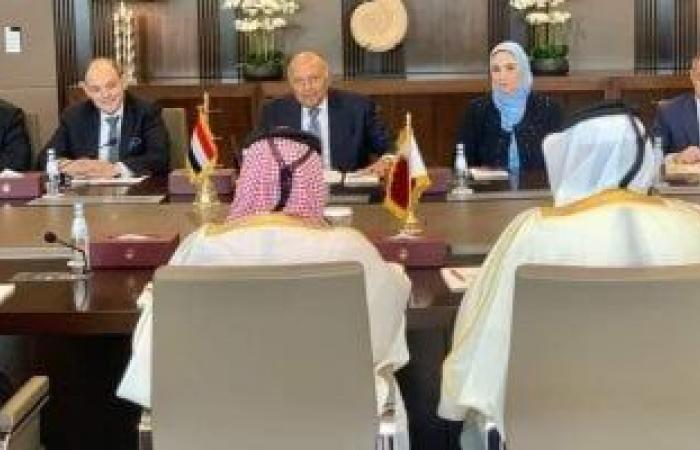 أخبار الاقتصاد : وزير التجارة يشارك بأعمال الدورة الخامسة للجنة العليا المشتركة بين مصر وقطر