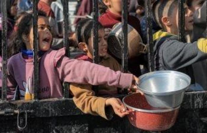 أخبار عربية : للمرة الثانية.. الاحتلال يستهدف فلسطينيين ينتظرون المساعدات غرب غزة