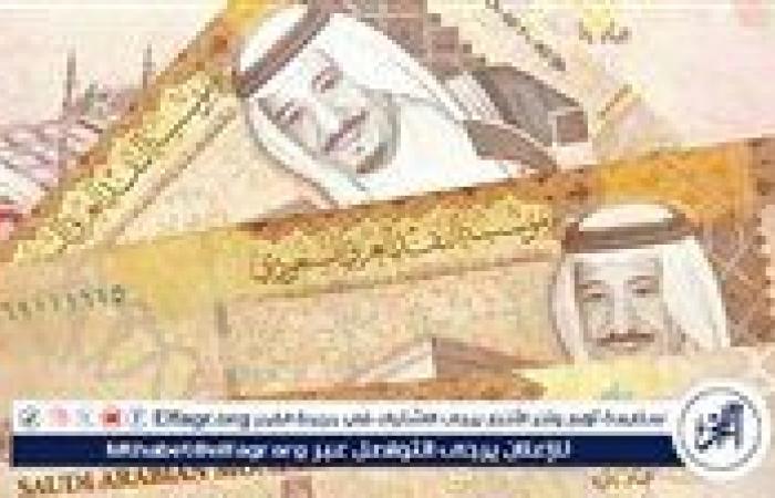 أخبار العالم : استقرار سعر الريال السعودي اليوم الثلاثاء 29 أكتوبر 2024 مقابل الجنيه المصري