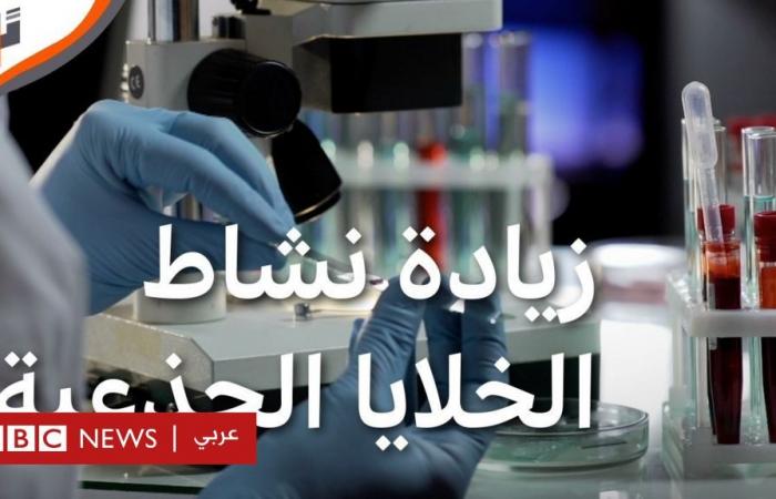 أخبار العالم : جامعة كامبريدج: زيادة فعالية الخلايا الجذعية في المختبر