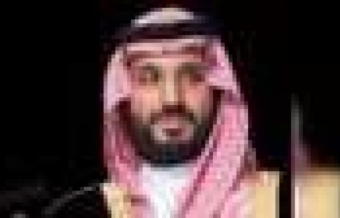 نافذة ولي العهد السعودي يجري اتصالا هاتفيا بدونالد ترامب