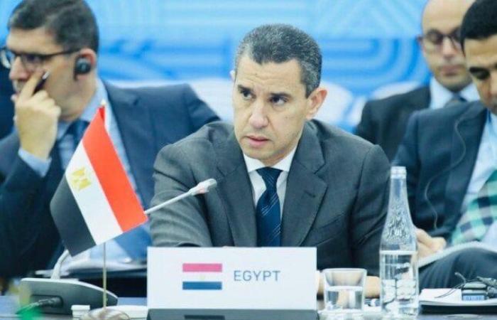 الممثل الشخصي للرئيس السيسي يرأس وفد مصر للإعداد لقمة العشرين في البرازيل