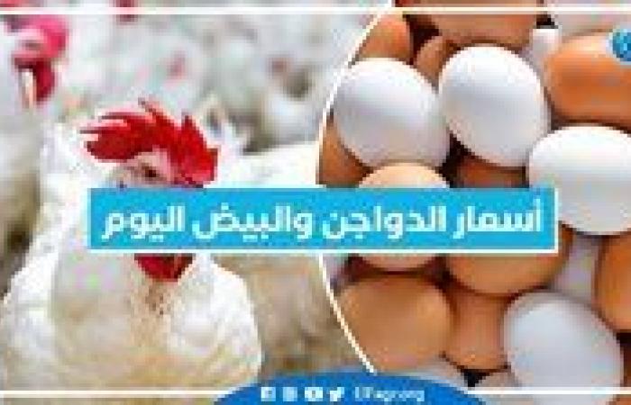 أخبار العالم : أسعار الدواجن والبيض اليوم الخميس 14-11-2024 بمحافظة البحيرة