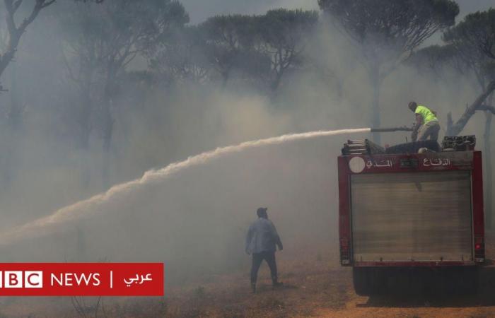 أخبار العالم : ليس البشر وحدهم ضحايا الحروب، الحيوانات والطيور والأسماك تعاني أيضاً