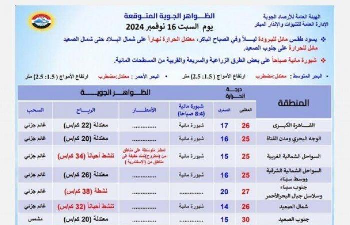 درجة الحرارة 7 على هذه المنطقة.. «الأرصاد» تكشف عن توقعات طقس السبت 16 نوفمبر 2024